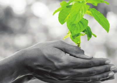 Acquistiamo in verde. Il Forum regionale GPP del Friuli Venezia Giulia