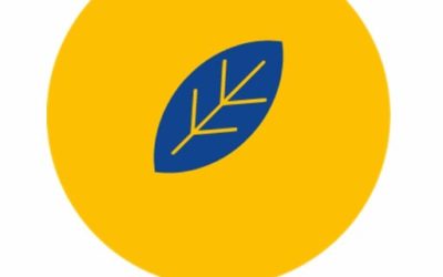 Disponibile la newsletter del progetto SYNGGI