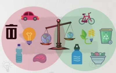 Alla scoperta dell’impronta ecologica: il consumo di risorse spiegato ai più piccoli