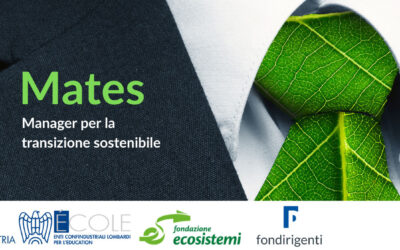 Manager, quali competenze per la sostenibilità