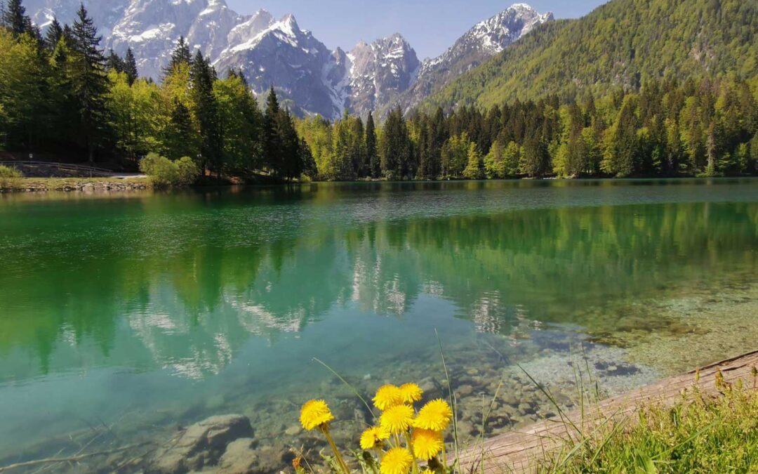 Il Friuli Venezia Giulia verso il nuovo Piano d’Azione Regionale per il GPP