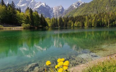 Il Friuli Venezia Giulia verso il nuovo Piano d’Azione Regionale per il GPP