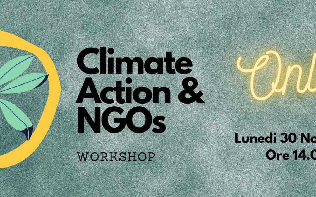 Climate Action & NGOs – Workshop