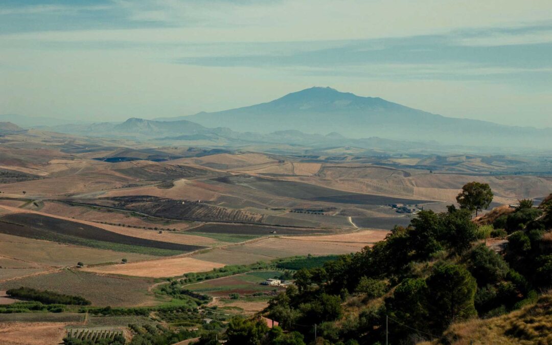 La Regione Sicilia verso il Piano d’Azione Regionale per il GPP