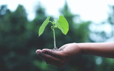 Sustainability Monitor Report, la sostenibilità delle imprese italiane