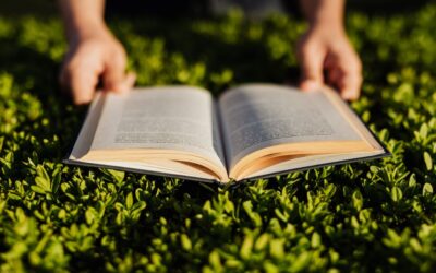 Premio Manlio Resta, online il bando per le tesi di laurea green