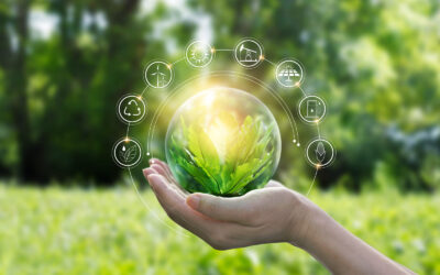 Green Public Procurement e Criteri Ambientali Minimi: le opportunità per le imprese e il mercato globale – L’intervista