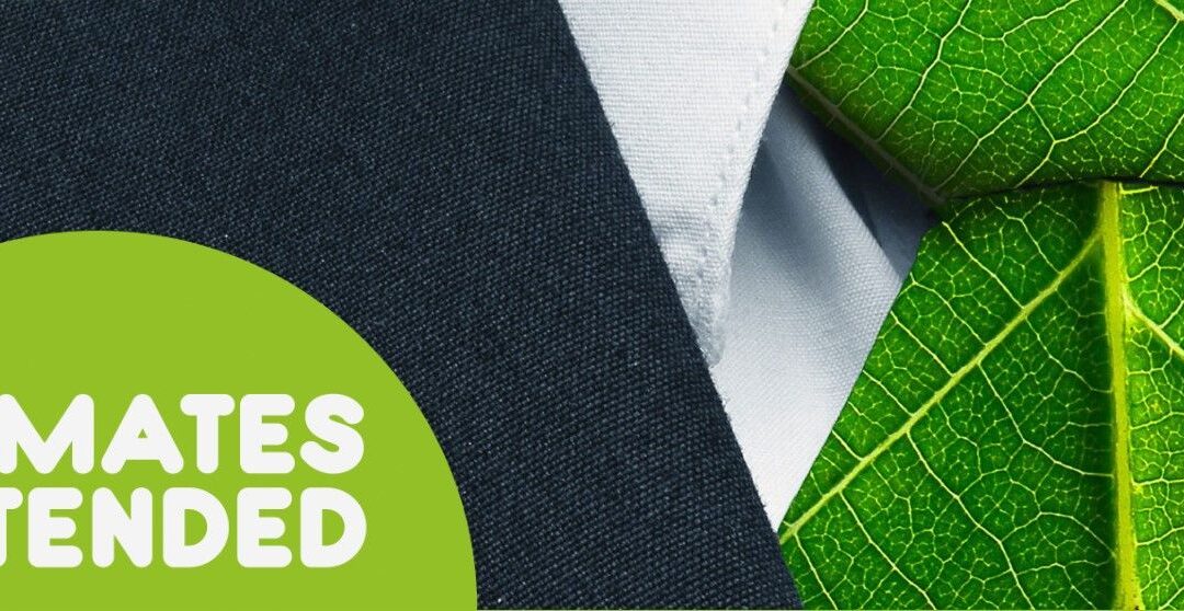 Sostenibilità e competenze managerali, MATES EXTENDED presenta strumenti e buone pratiche