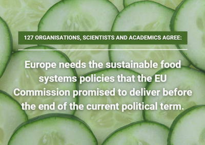 Lettera aperta a VDL sul quadro legislativo dell’UE per i sistemi alimentari sostenibili e il futuro dell’alimentazione