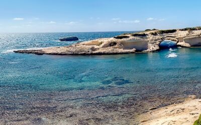 La Sardegna compra verde: la regione adotta il nuovo Piano per gli acquisti pubblici ecologici – PAPERS 2024-2026