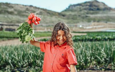 Giornata mondiale della salute 2024: il ruolo dell’approvvigionamento pubblico sostenibile e l’alimentazione scolastica