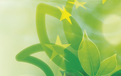 Direttiva UE sugli appalti pubblici: perché ora serve adottare il Buy European Sustainable Act (BESA)